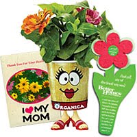 flower seed gifts